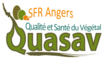 SFR Quasav